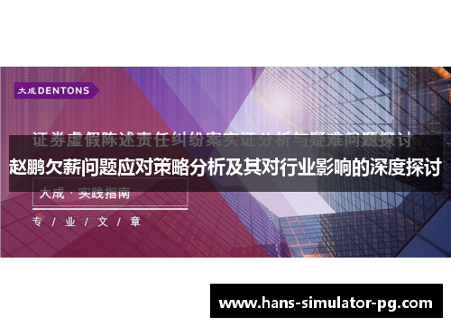 赵鹏欠薪问题应对策略分析及其对行业影响的深度探讨 赵鹏欠薪问题应对策略分析及其对行业影响的深度探讨