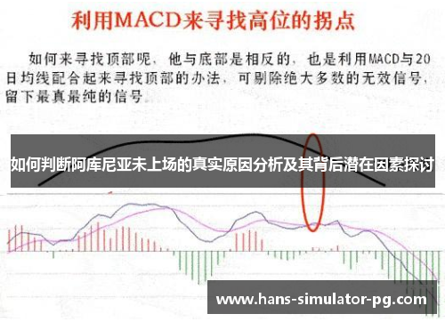 如何判断阿库尼亚未上场的真实原因分析及其背后潜在因素探讨
