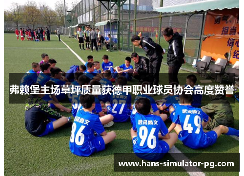 弗赖堡主场草坪质量获德甲职业球员协会高度赞誉 弗赖堡主场草坪质量获德甲职业球员协会高度赞誉